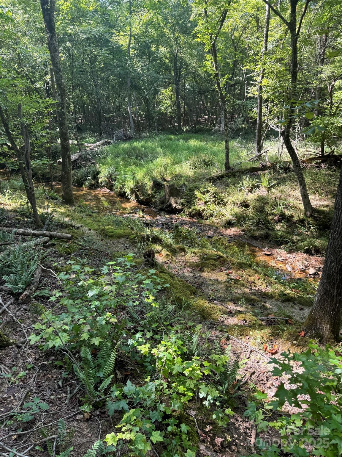000 Daystar Road 9 Property Photo