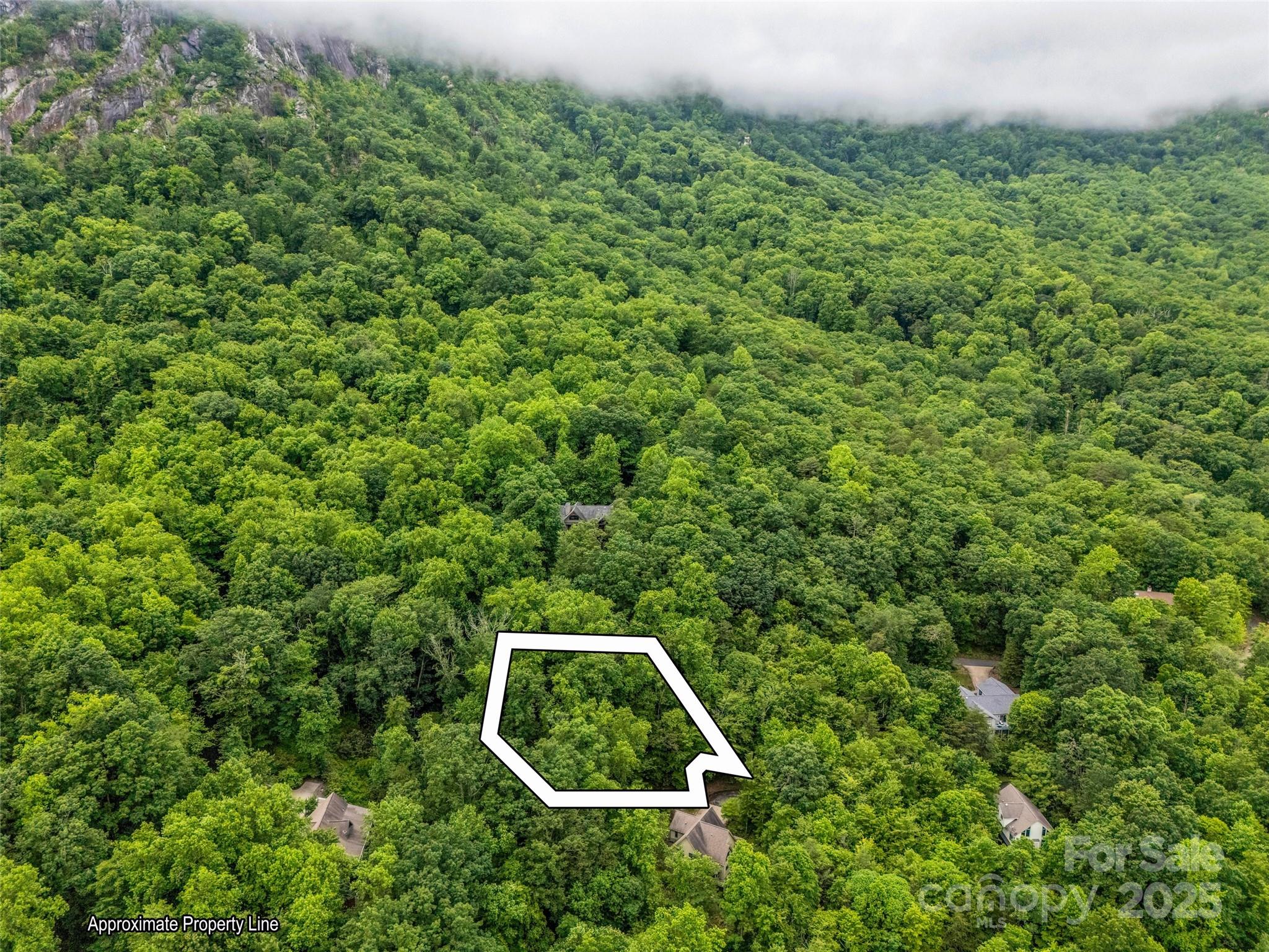 0 Hummingbird Court Property Photo 4