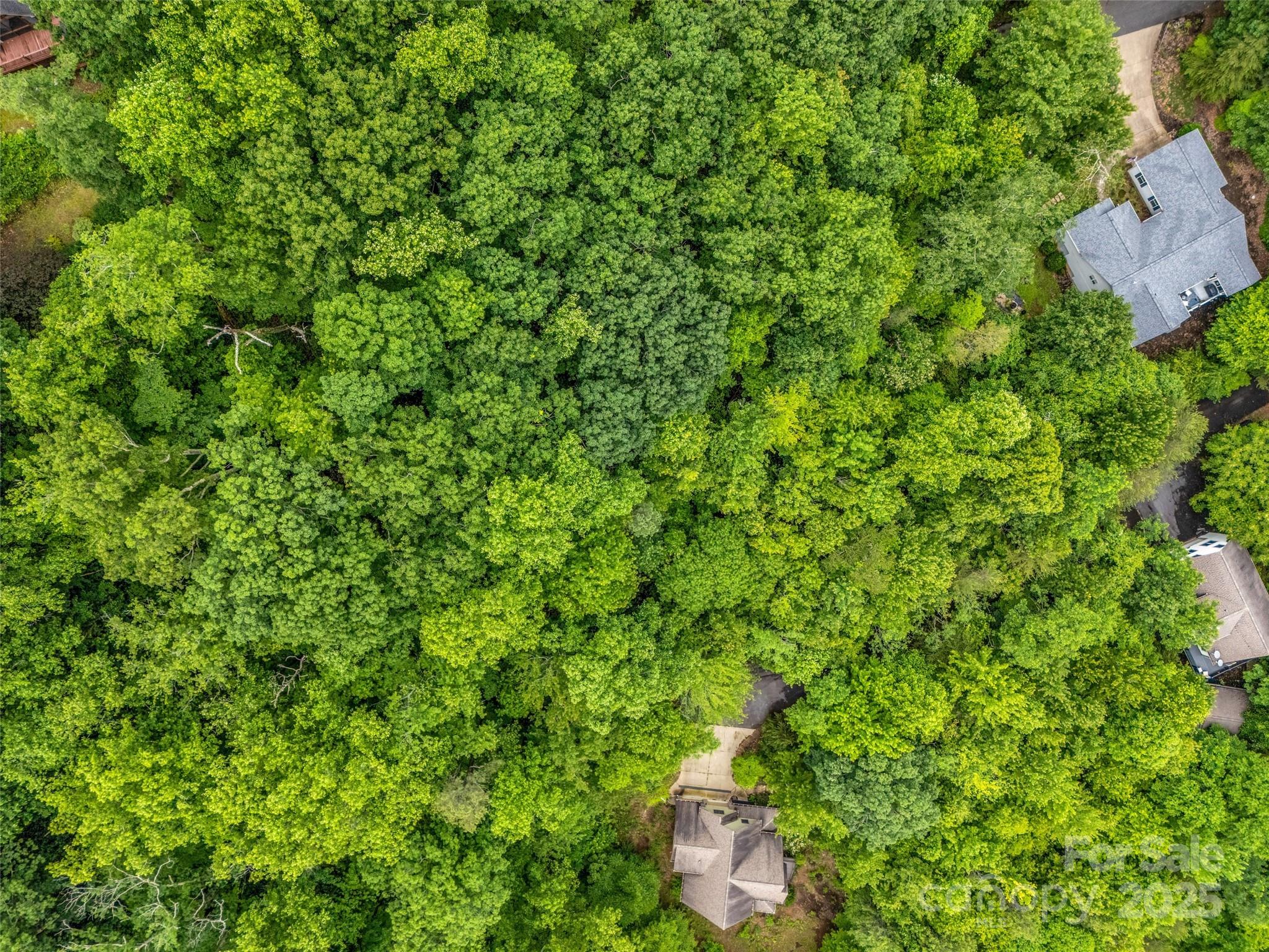 0 Hummingbird Court Property Photo 6