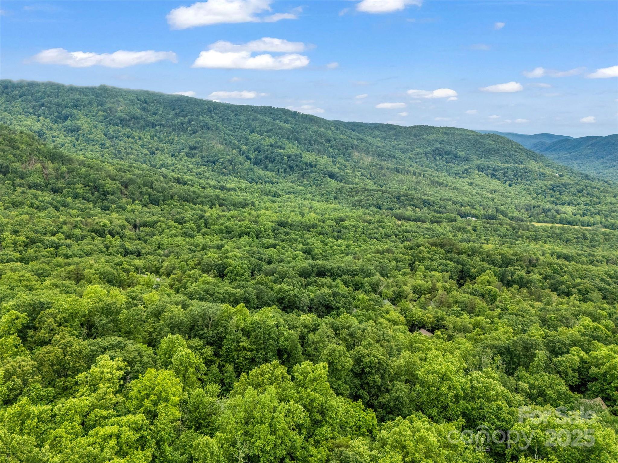 0 Hummingbird Court Property Photo 15