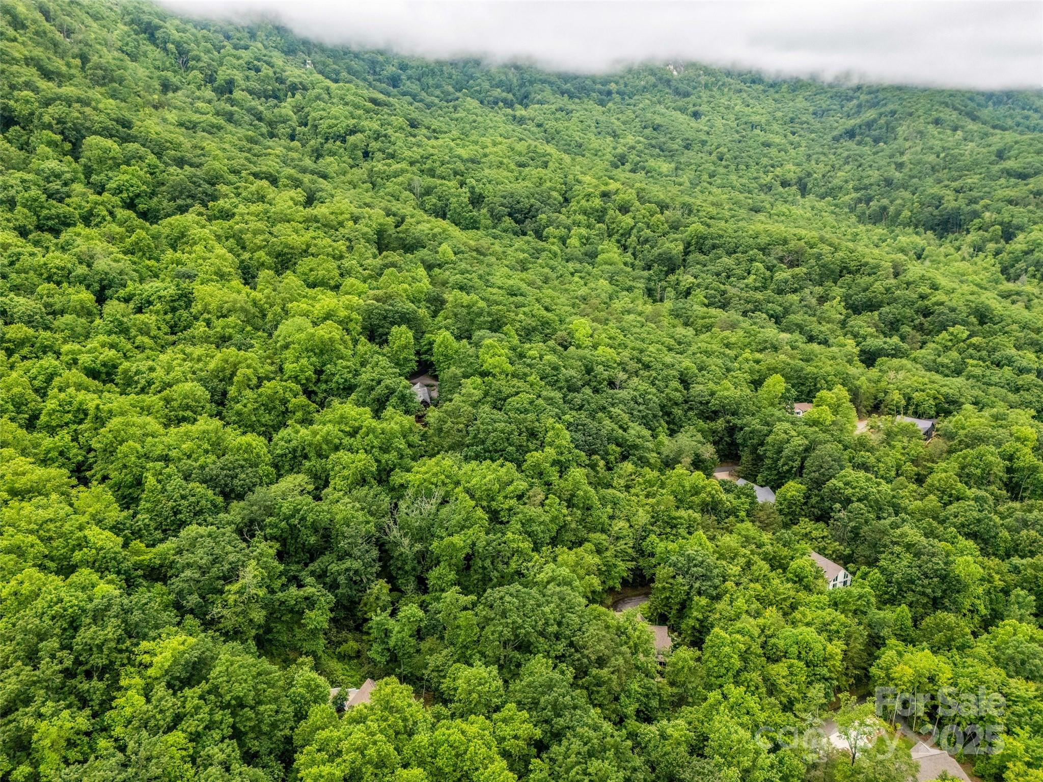 0 Hummingbird Court Property Photo 19