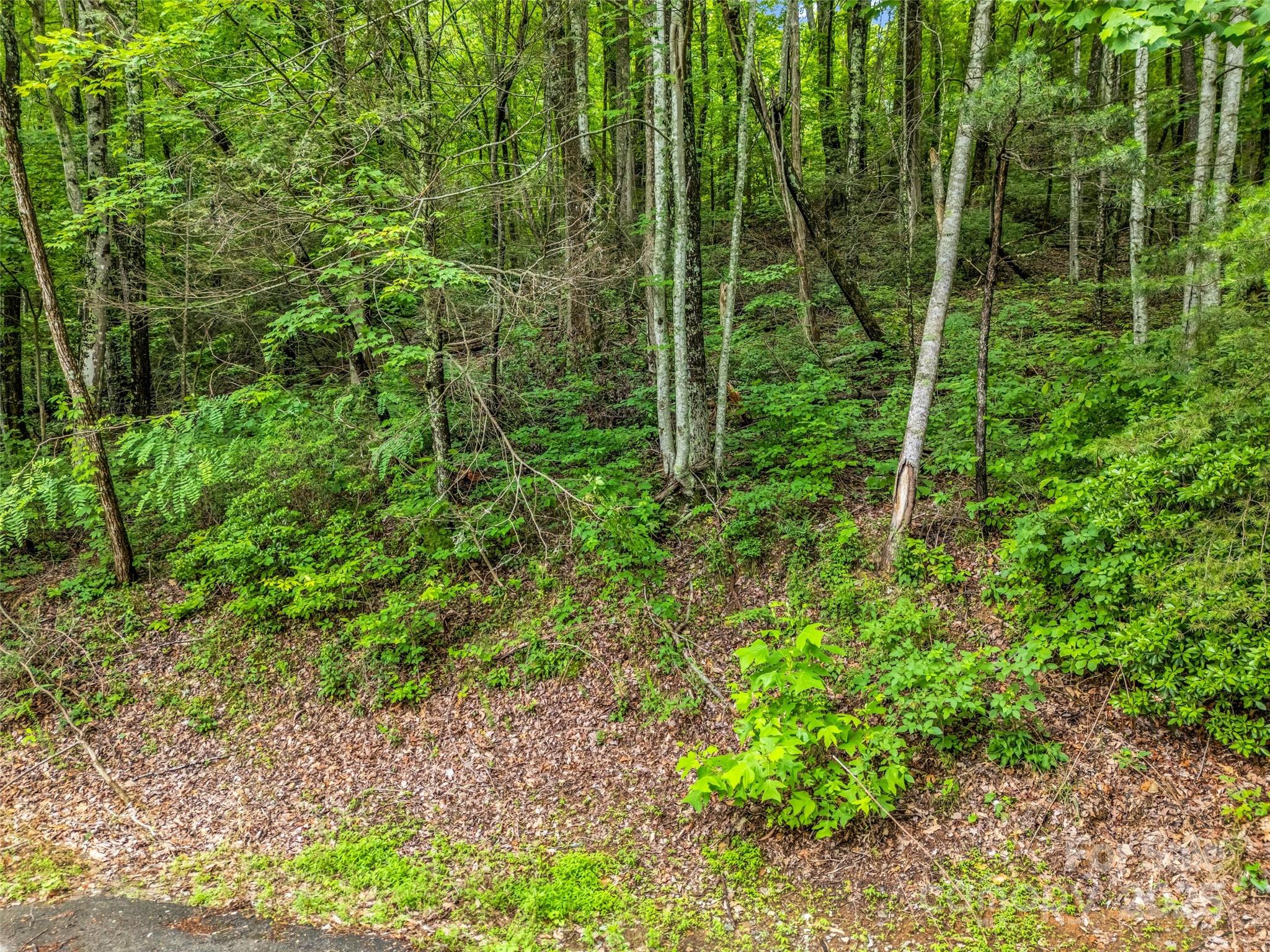 0 Hummingbird Court Property Photo 22