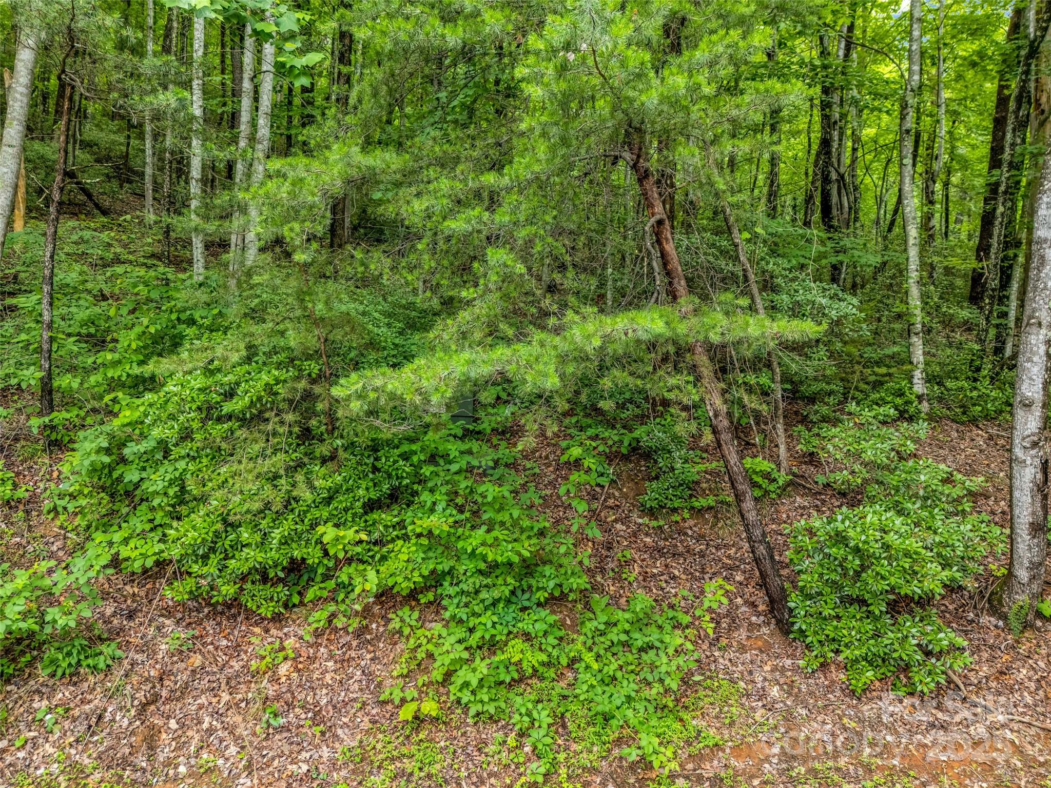 0 Hummingbird Court Property Photo 23