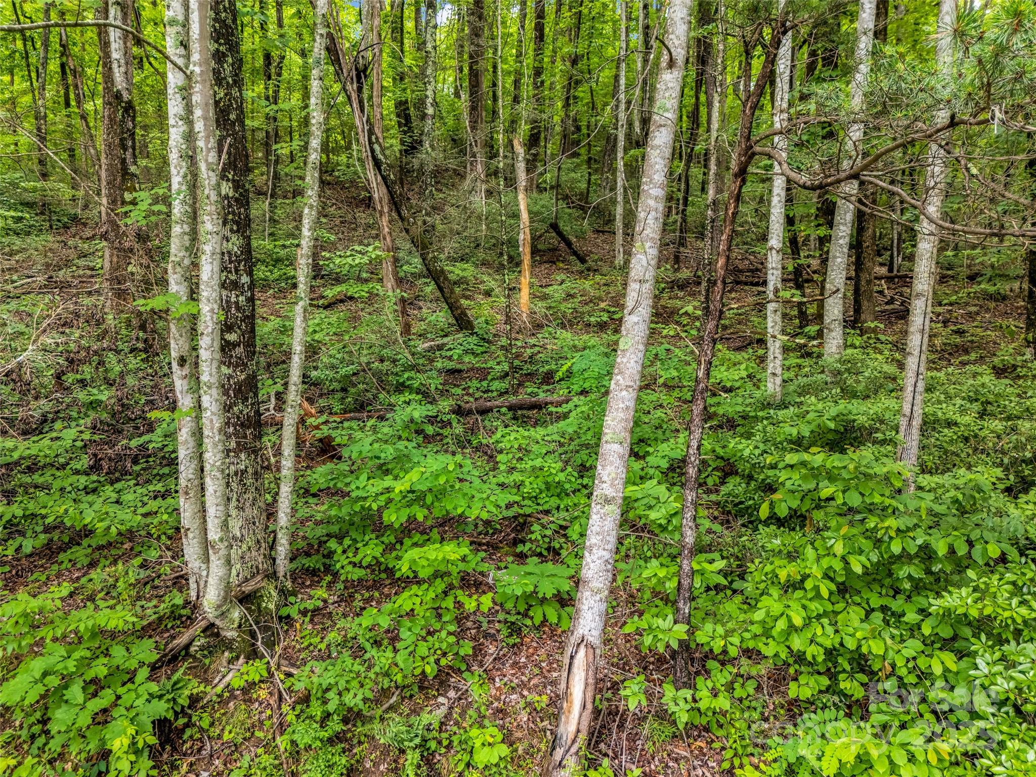 0 Hummingbird Court Property Photo 24