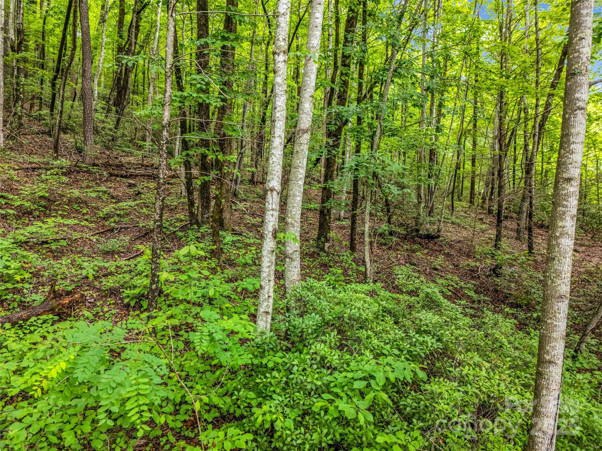 0 Hummingbird Court Property Photo 25