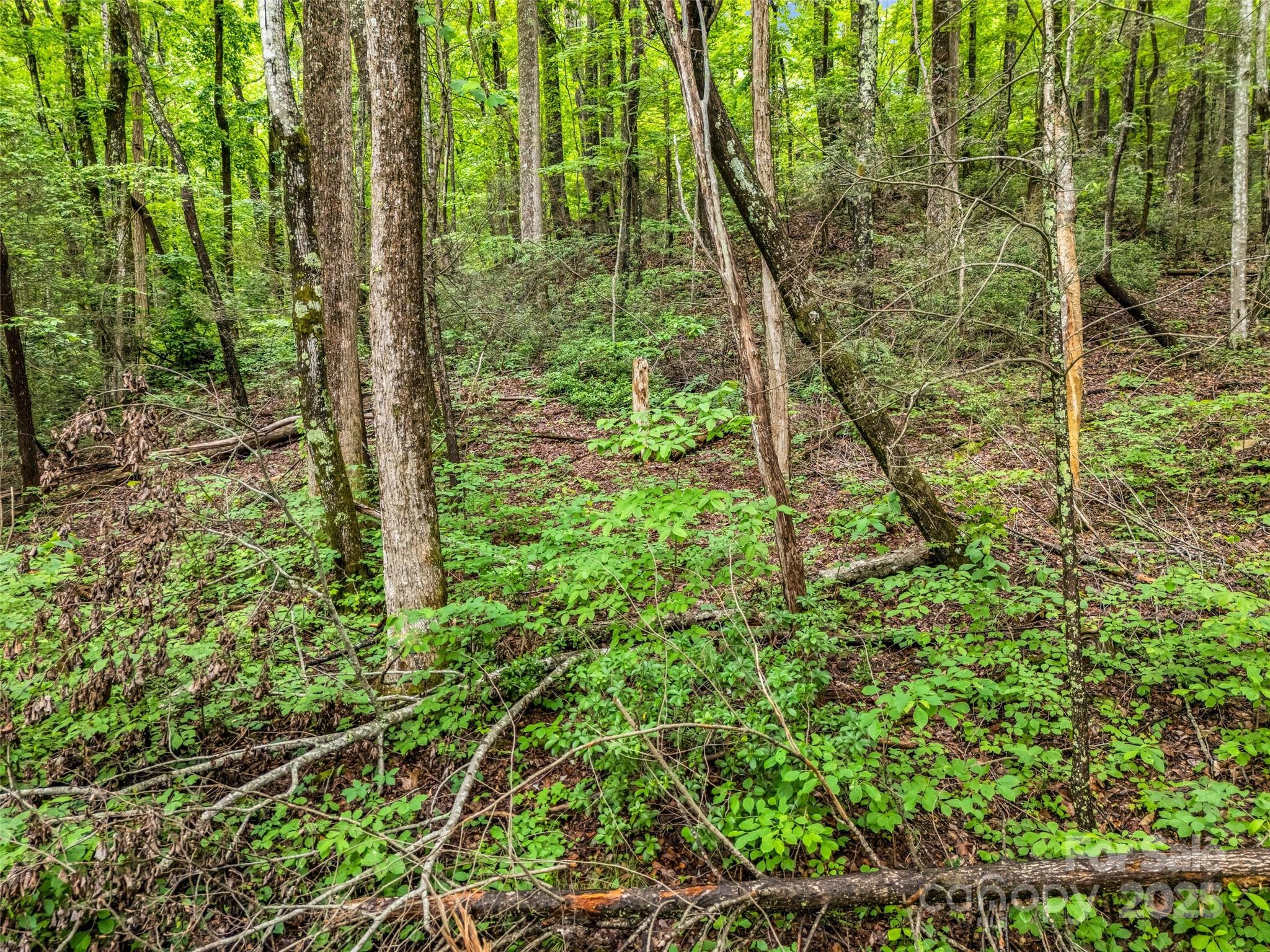 0 Hummingbird Court Property Photo 26