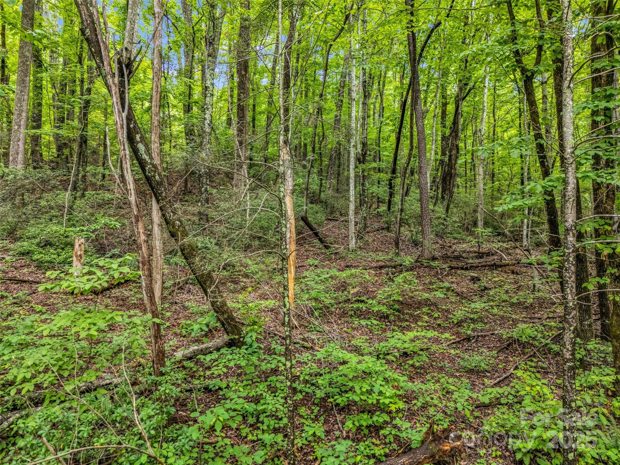 0 Hummingbird Court Property Photo 27