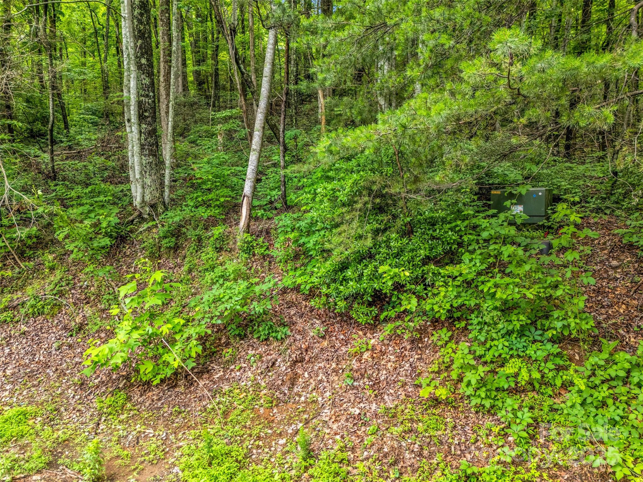 0 Hummingbird Court Property Photo 28