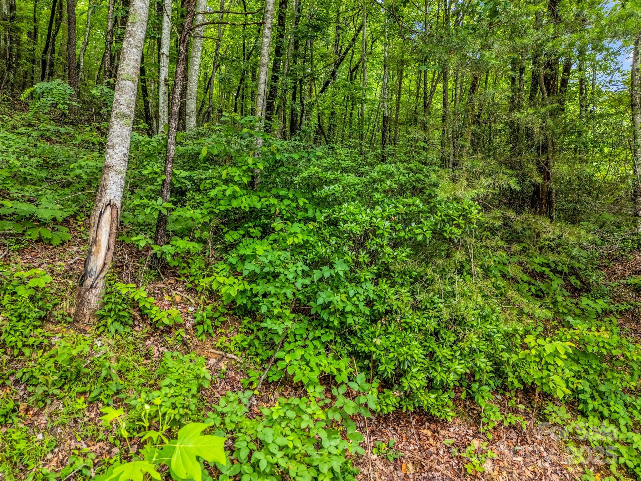 0 Hummingbird Court Property Photo 29