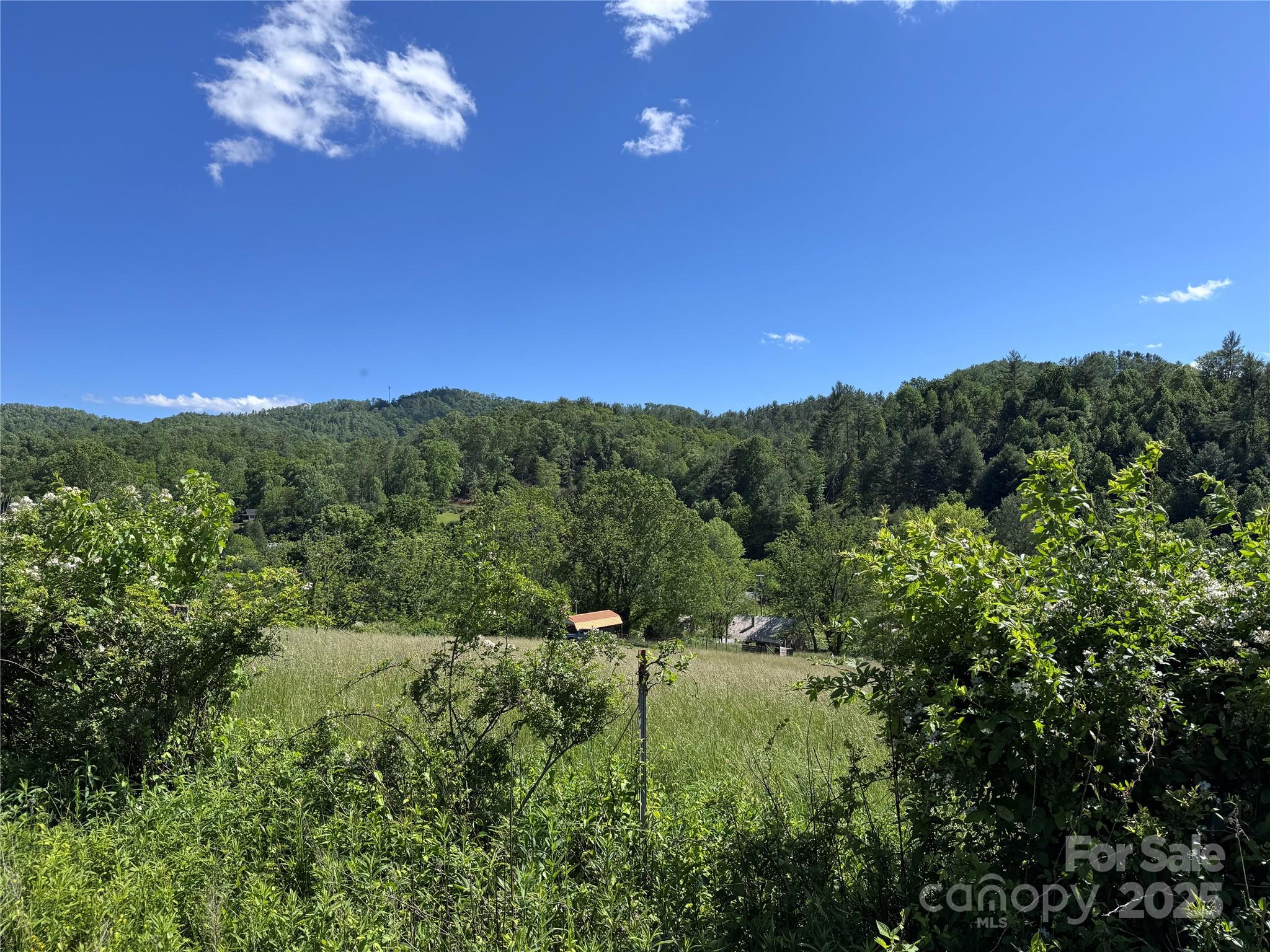 49 Loggy Hollow Road Property Photo