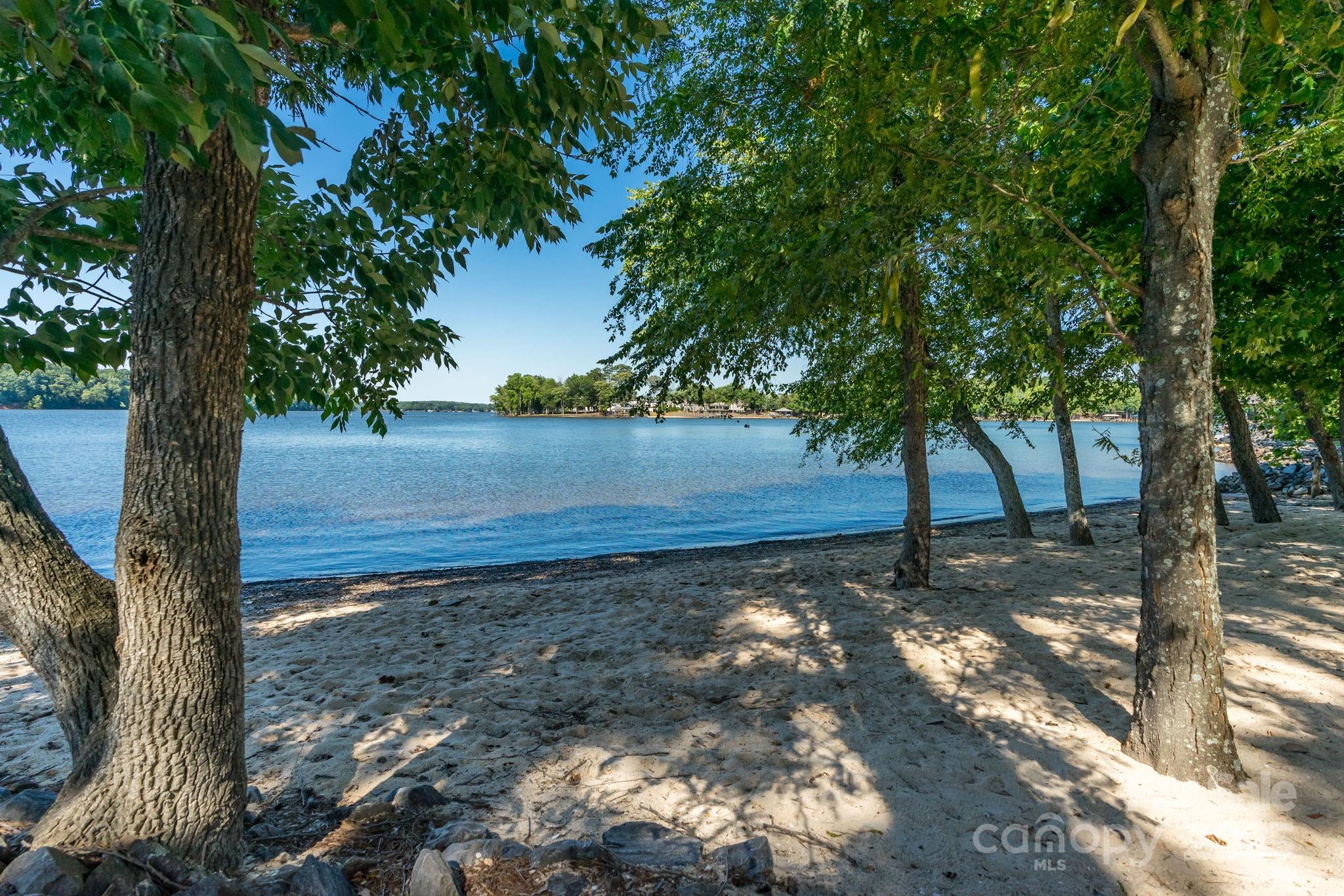 3228 Ashwood Park Drive 294 Property Photo 8