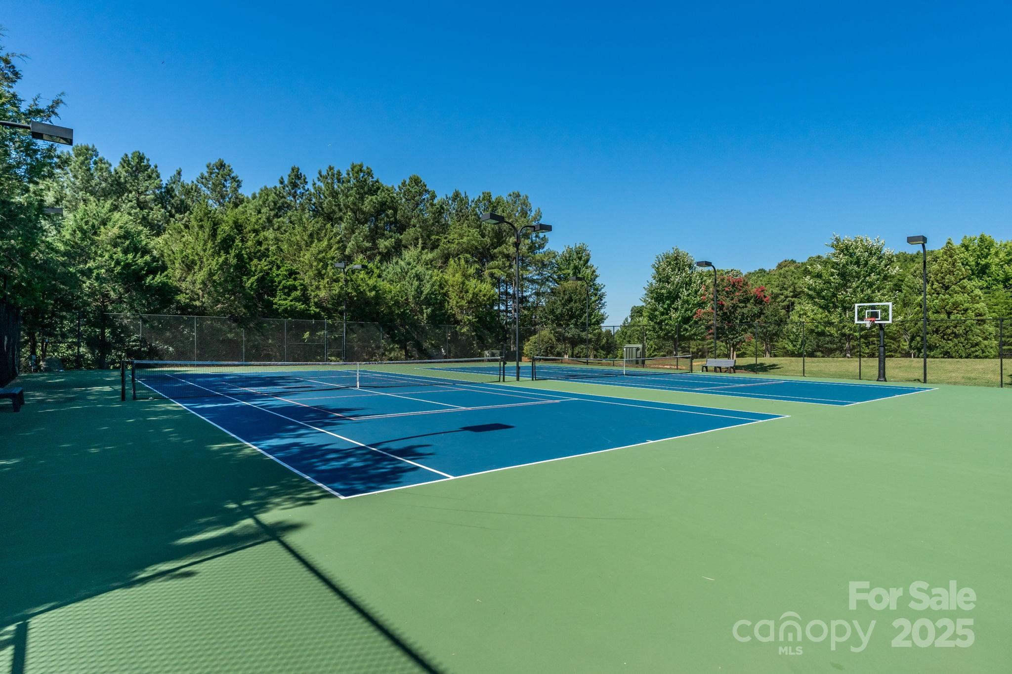 3228 Ashwood Park Drive 294 Property Photo 27