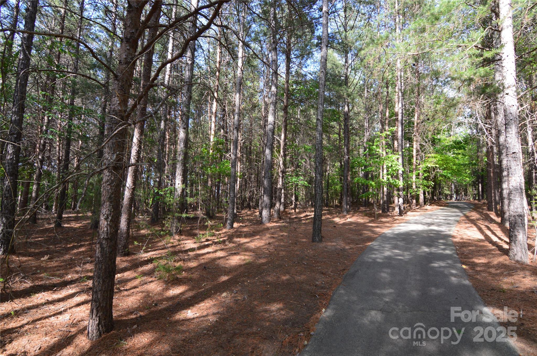 3228 Ashwood Park Drive 294 Property Photo 29