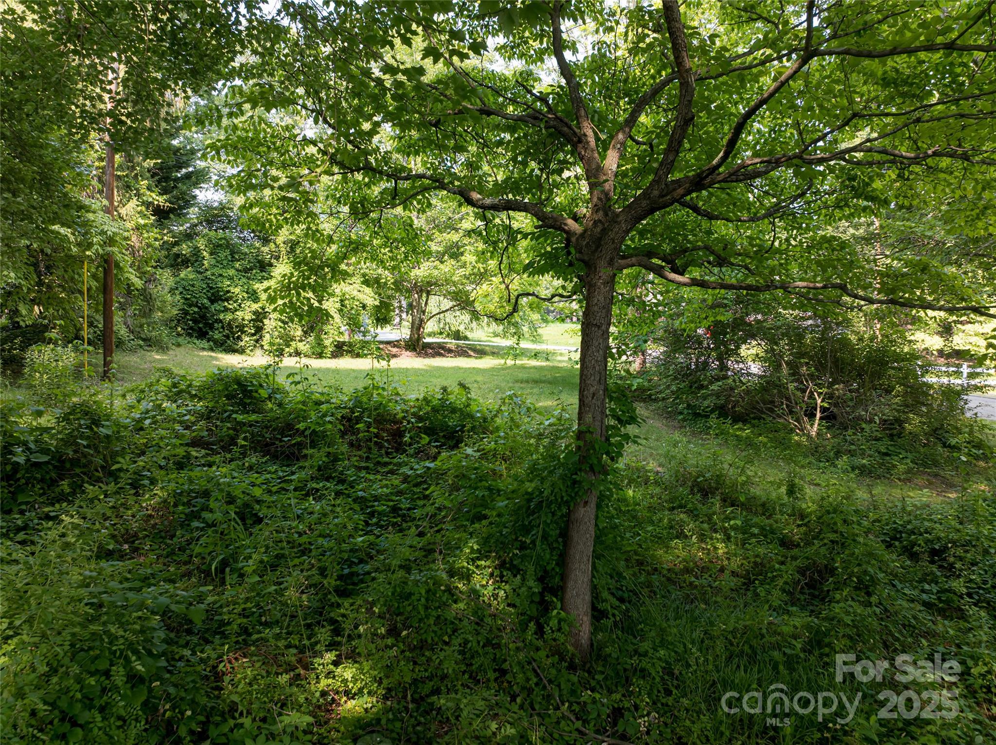 110 Border Street Property Photo 13