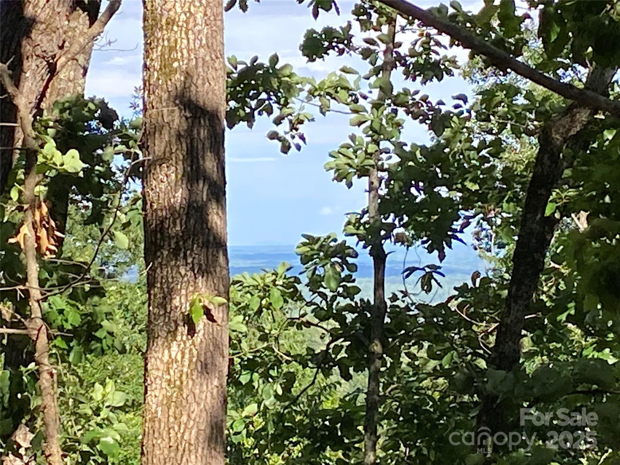 0 Youngs Mountain Drive LOT 21 Property Photo 1