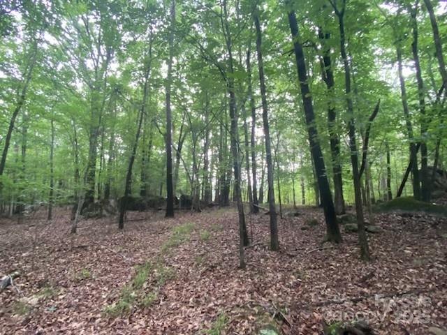 5410 A R Gordon Road Property Photo 22
