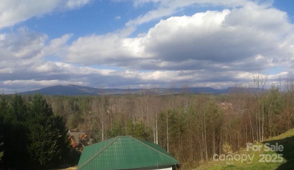 Tbd Misty Mountain Drive 35 Property Photo 1