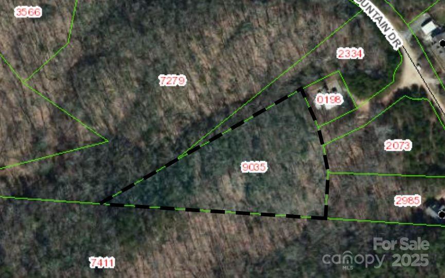 Tbd Misty Mountain Drive 35 Property Photo 6