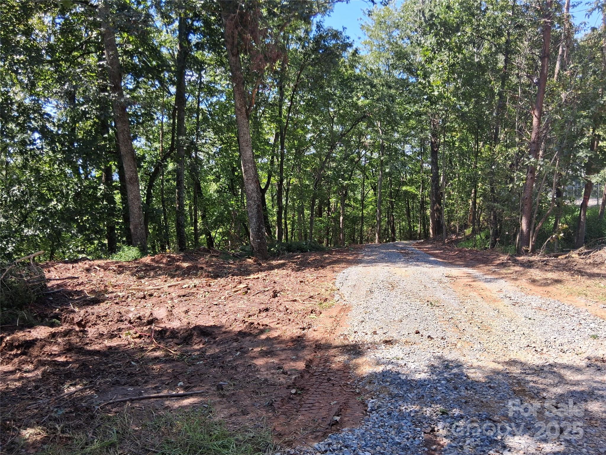 Tbd Misty Mountain Drive 35 Property Photo 8