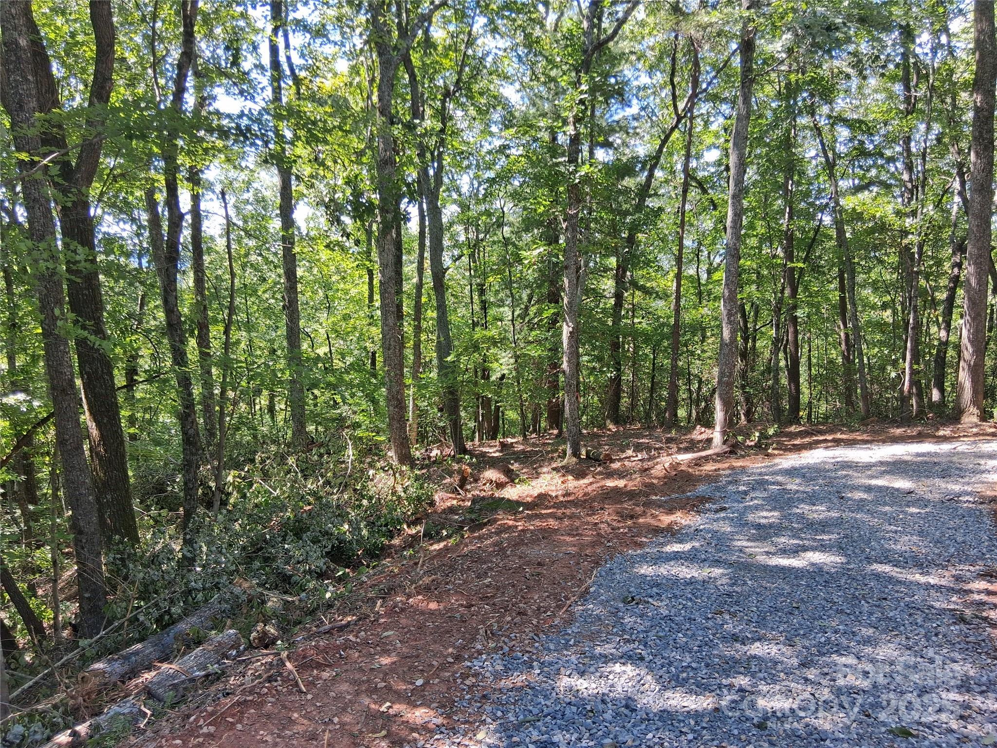 Tbd Misty Mountain Drive 35 Property Photo 10