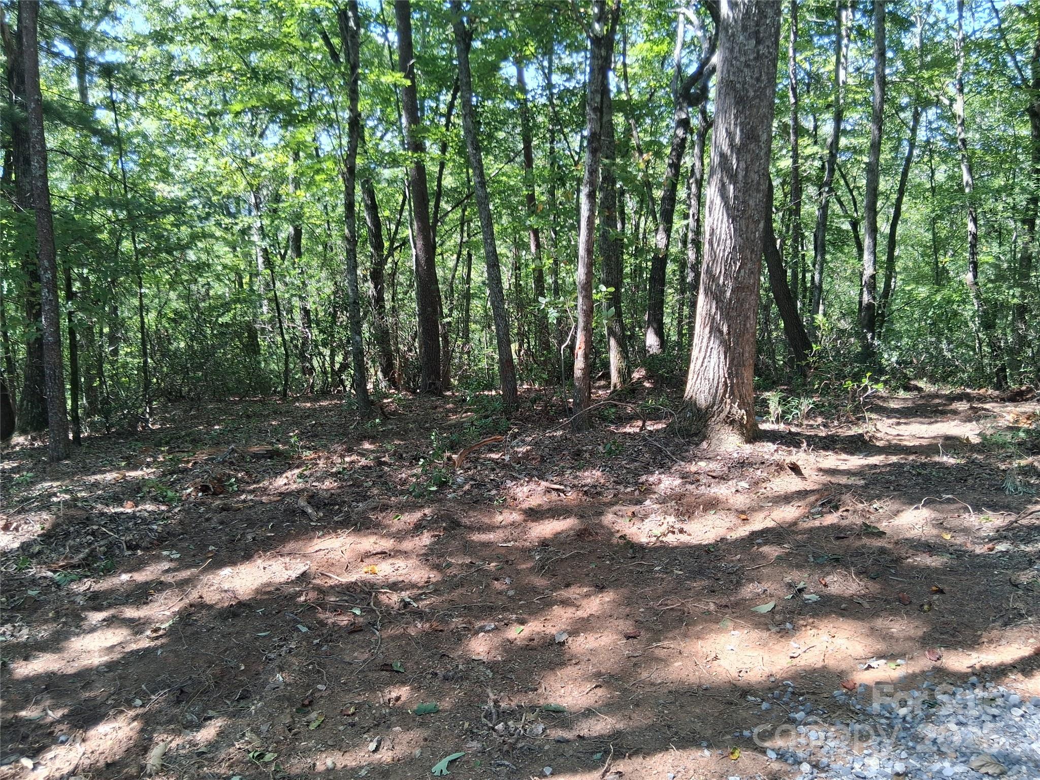 Tbd Misty Mountain Drive 35 Property Photo 13