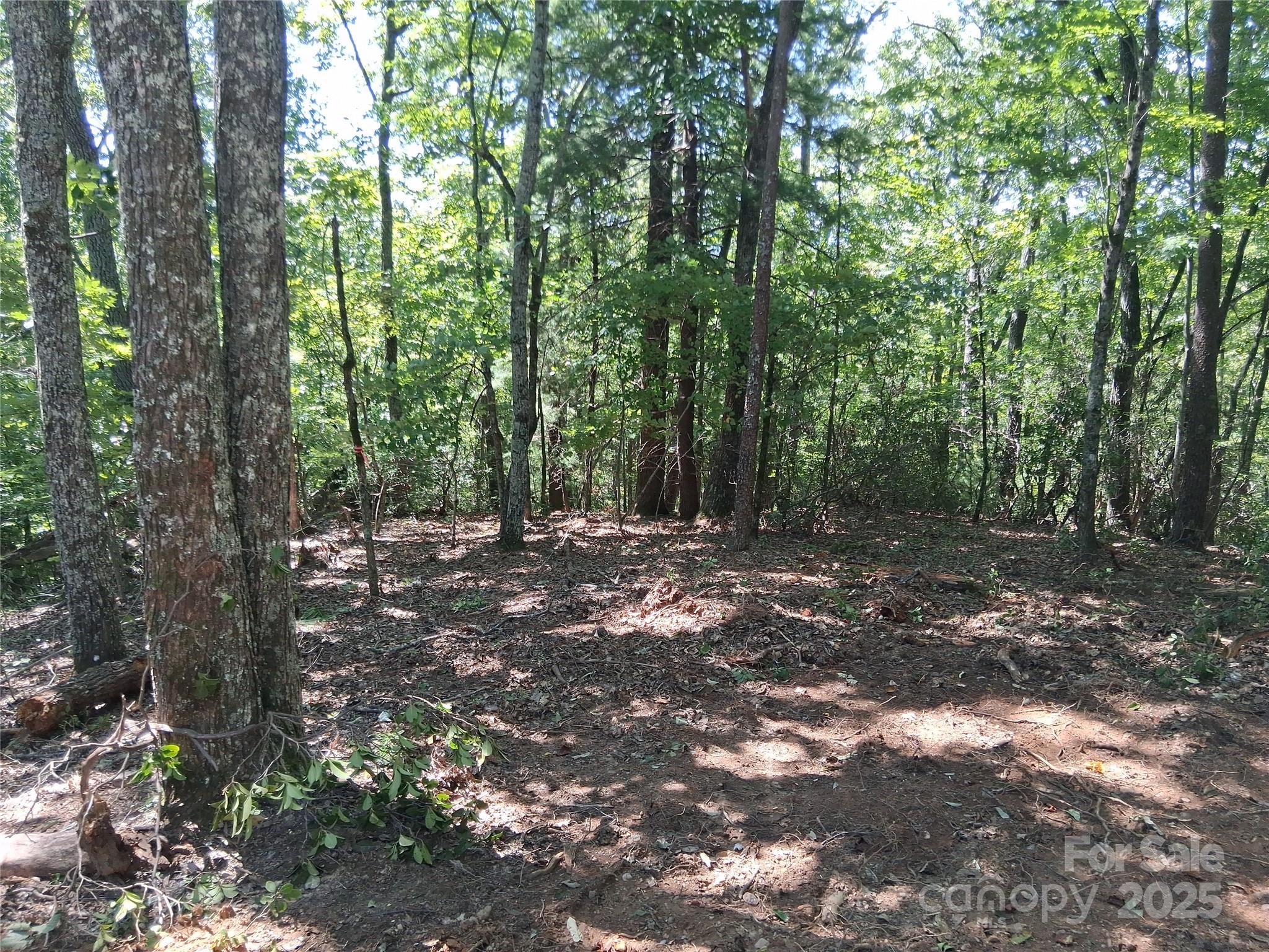 Tbd Misty Mountain Drive 35 Property Photo 14