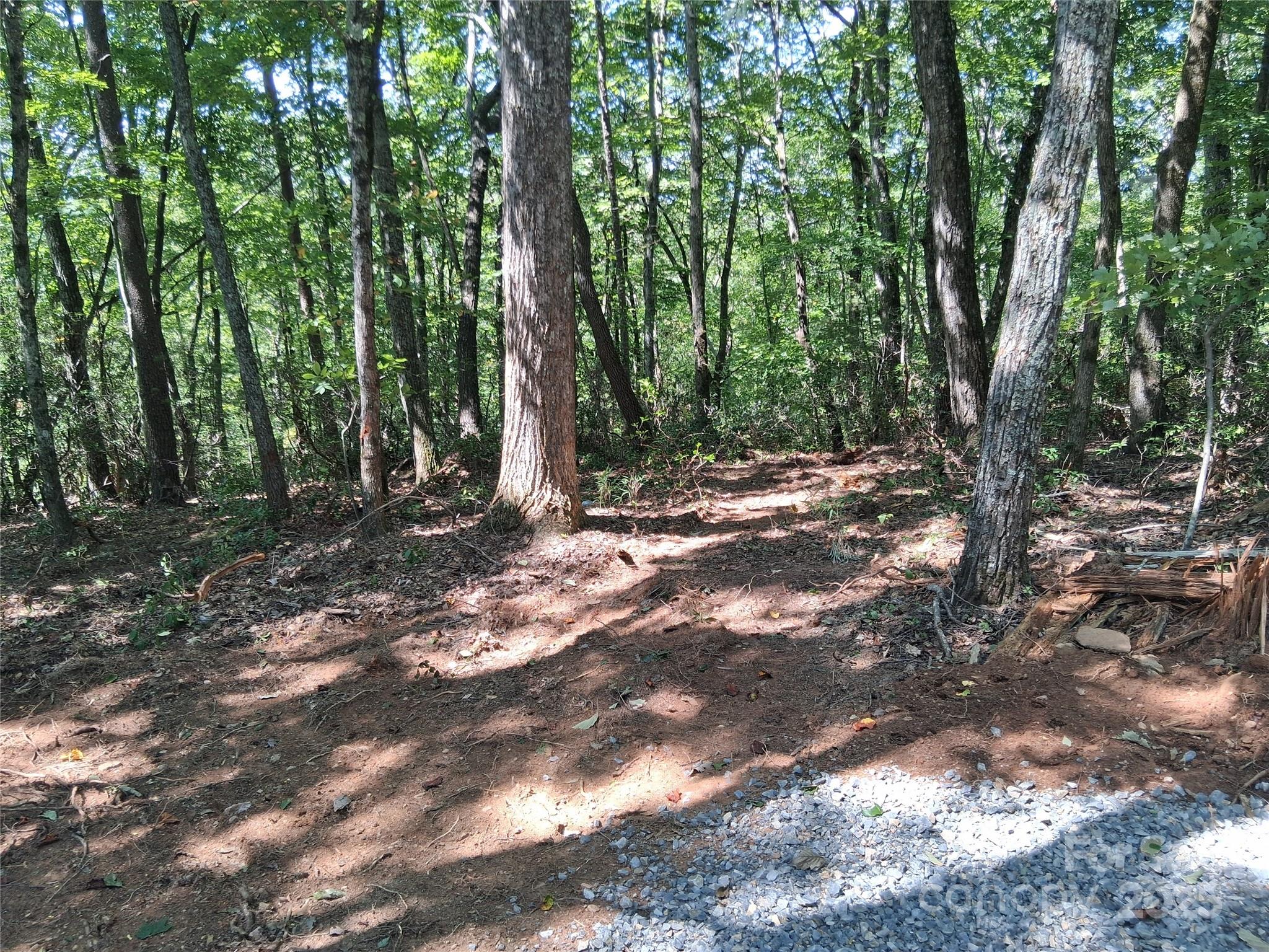 Tbd Misty Mountain Drive 35 Property Photo 15