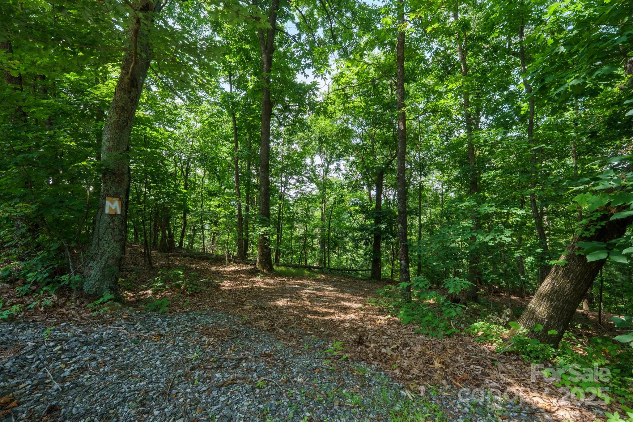 00 Hendren Road Property Photo 1