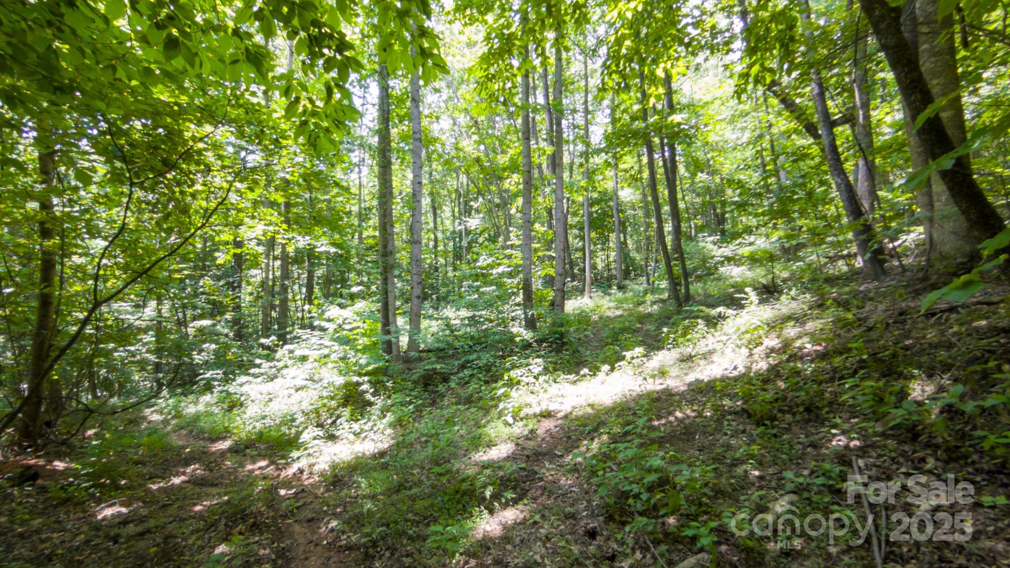 00 Hendren Road Property Photo 6