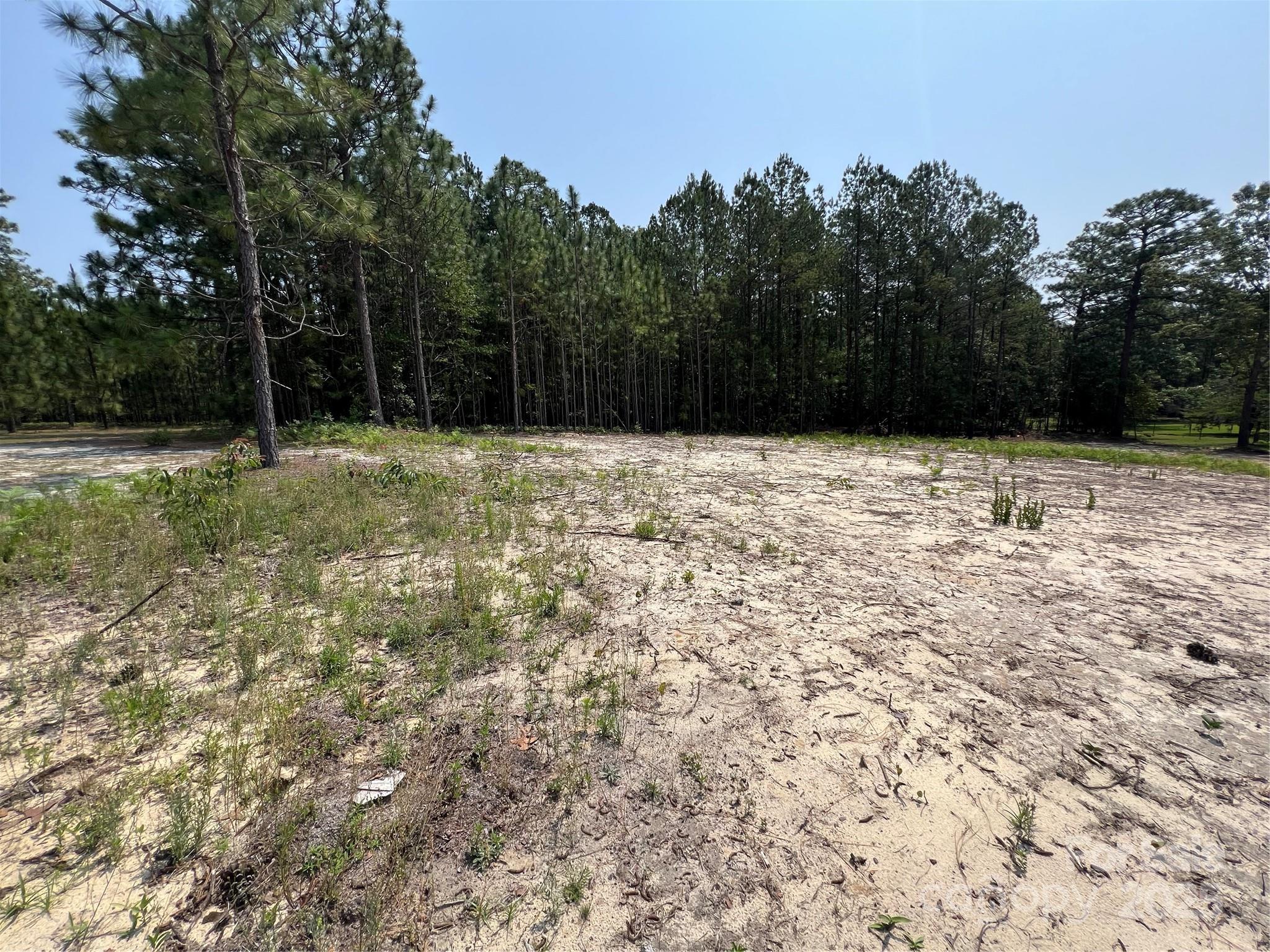 0 Ruby Road Property Photo 1