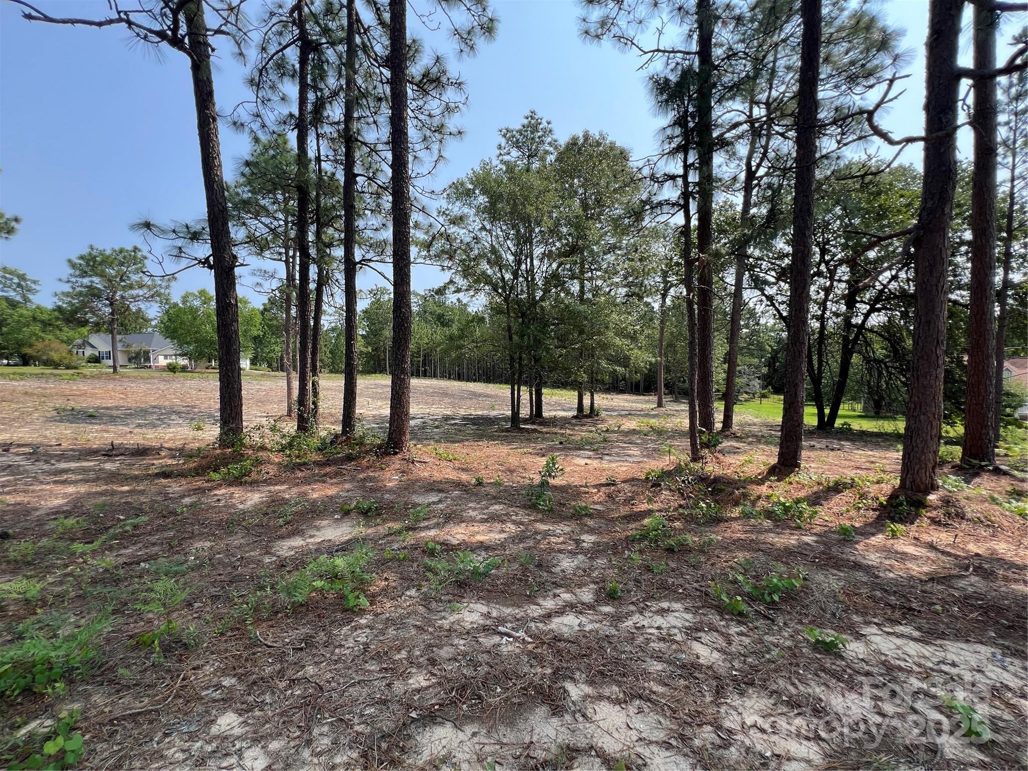 0 Ruby Road Property Photo 14