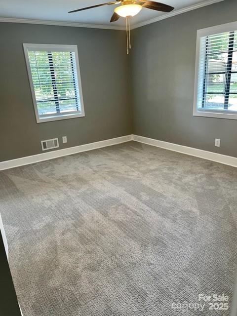 3217 Celanese Road Property Photo 6