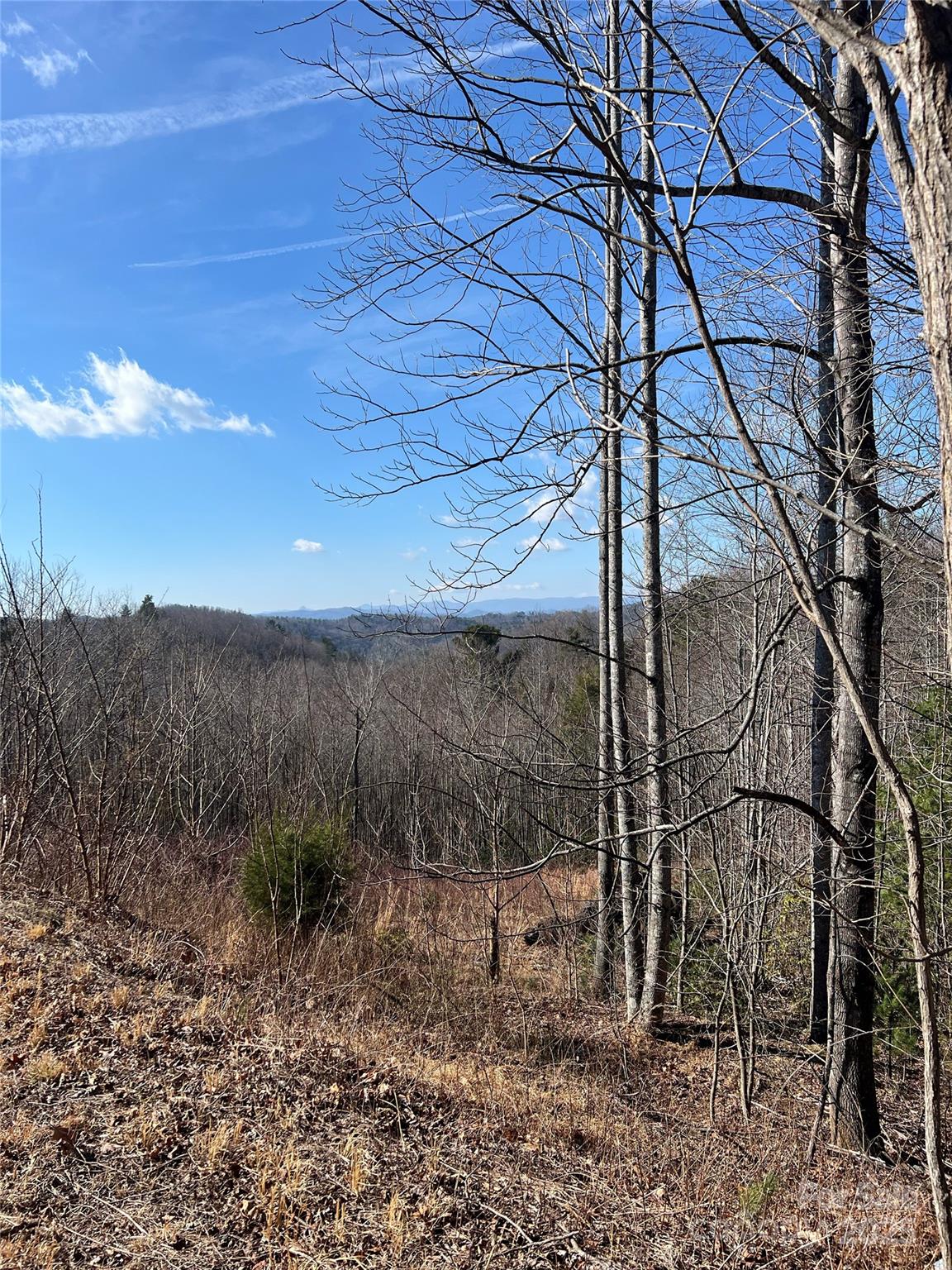 Lot# 130 Terra Vista Drive Property Photo 2