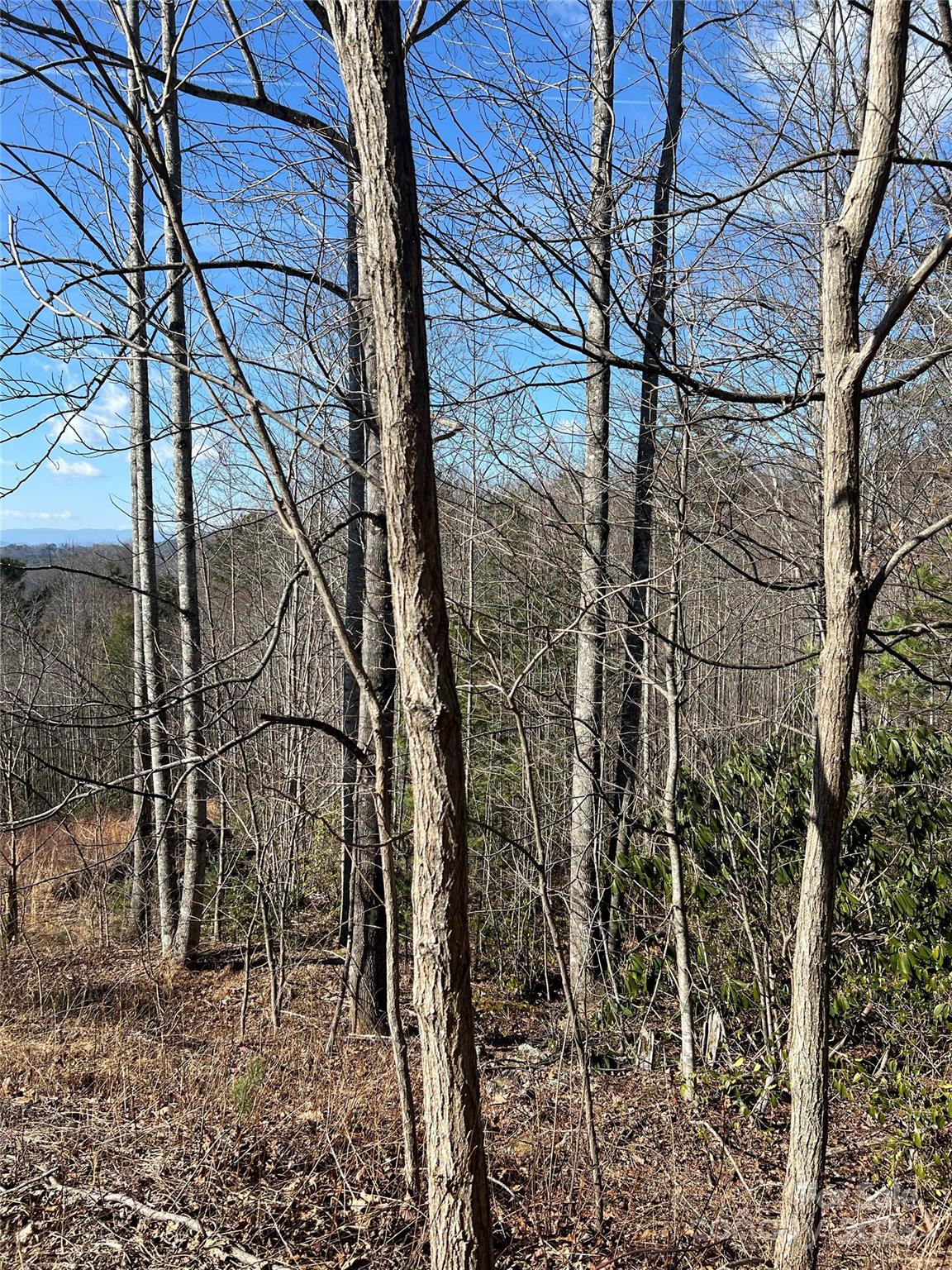 Lot# 130 Terra Vista Drive Property Photo 3