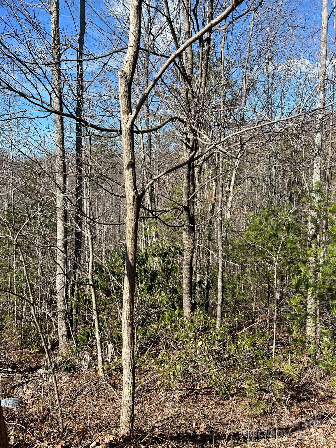 Lot# 130 Terra Vista Drive Property Photo 4