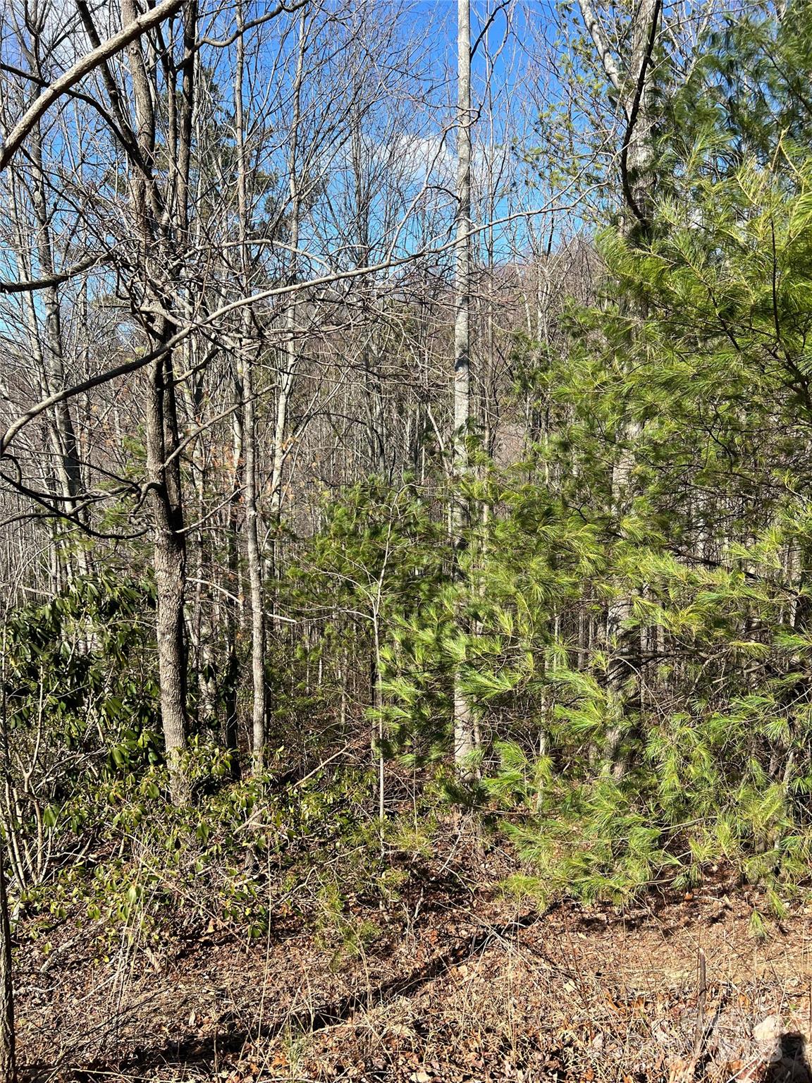 Lot# 130 Terra Vista Drive Property Photo 5