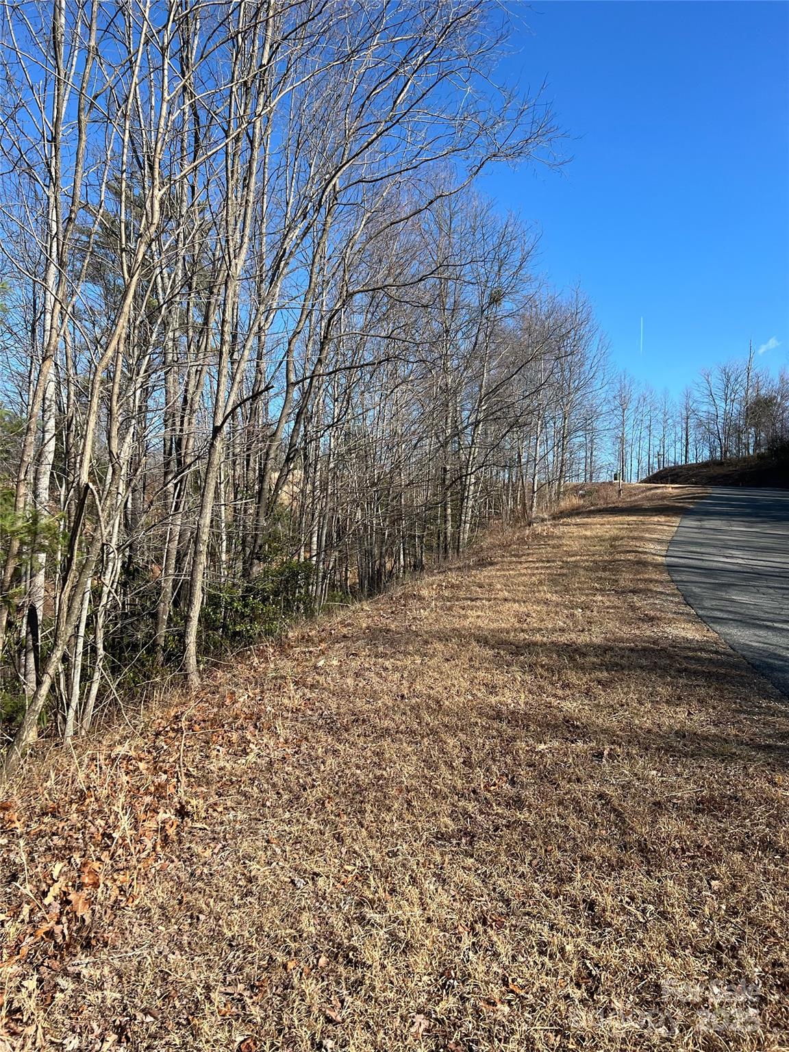 Lot# 130 Terra Vista Drive Property Photo 6