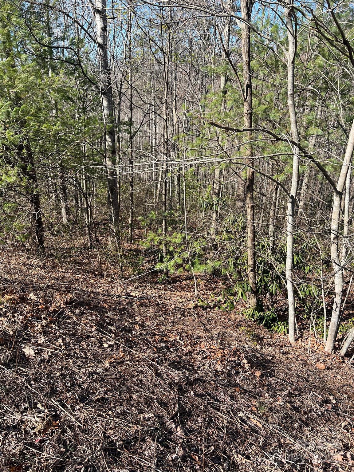 Lot# 130 Terra Vista Drive Property Photo 9
