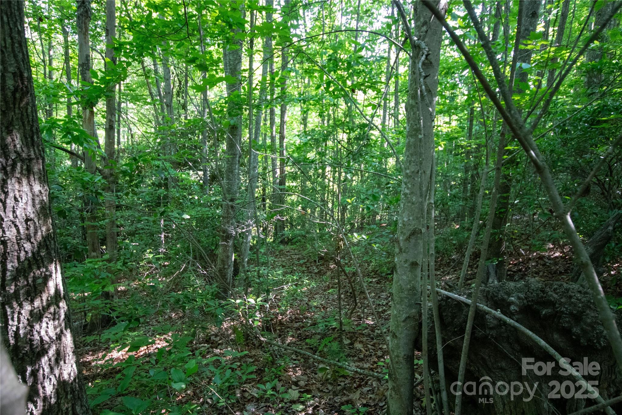 Lot# 130 Terra Vista Drive Property Photo 10