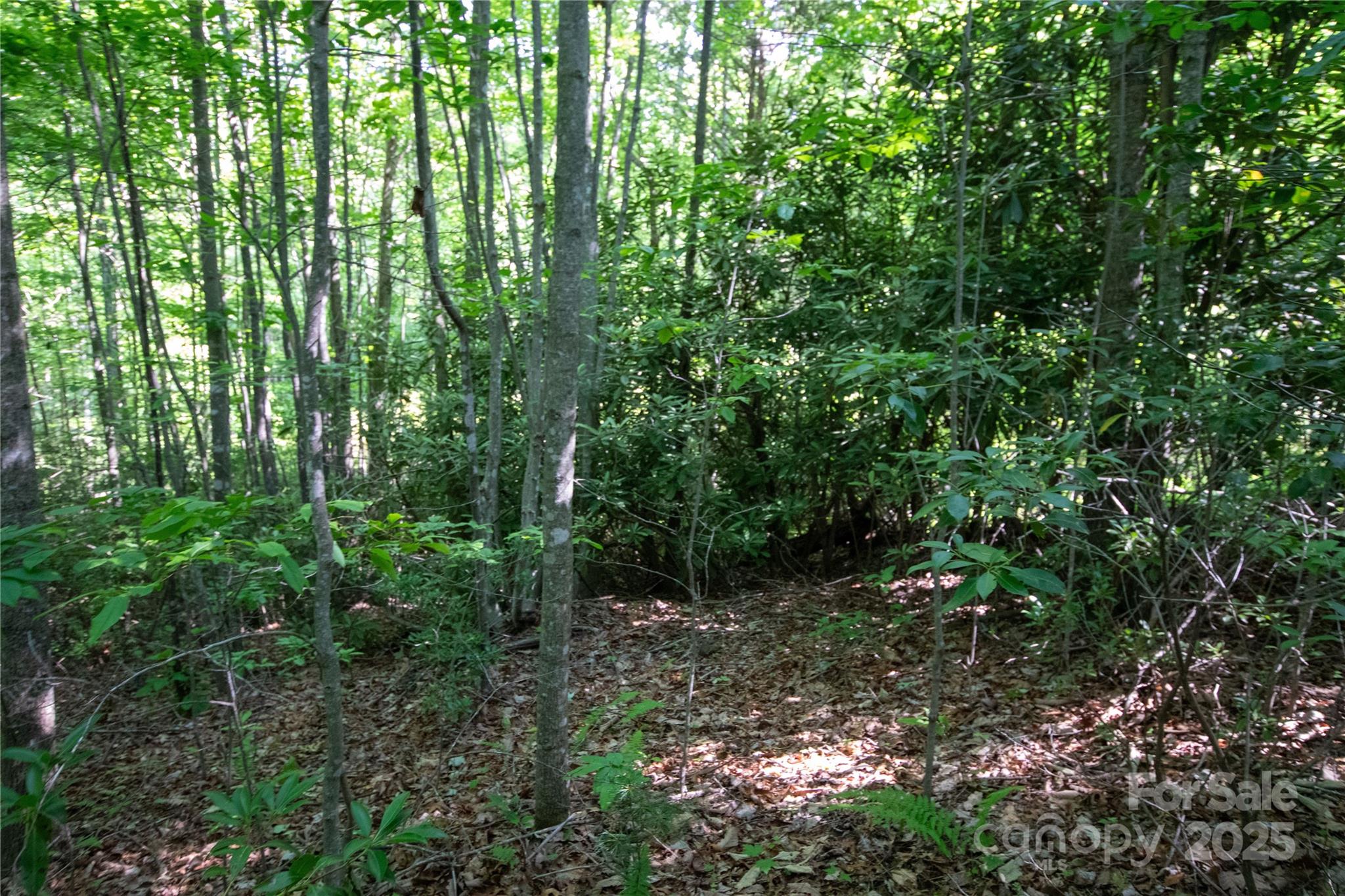 Lot# 130 Terra Vista Drive Property Photo 11