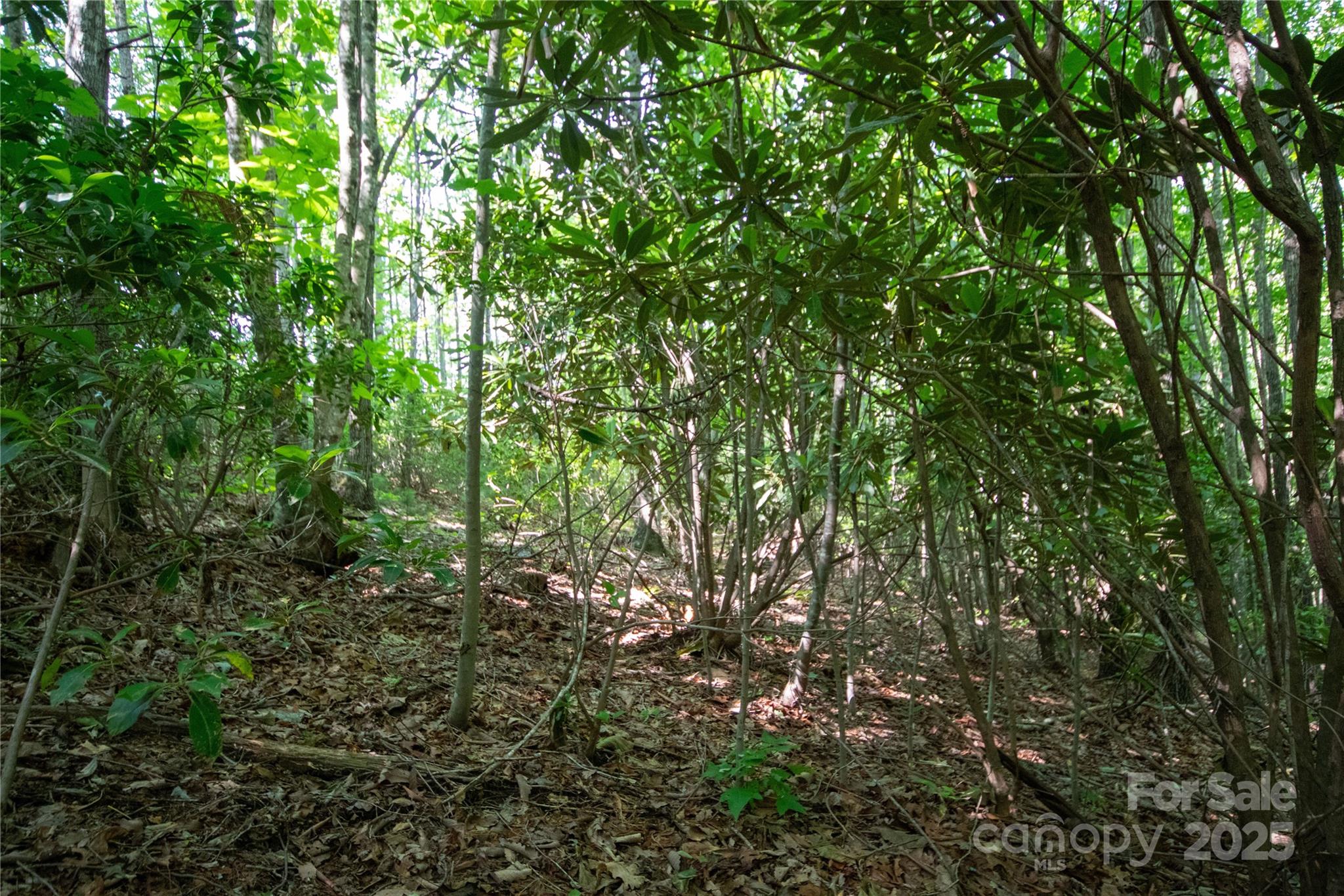 Lot# 130 Terra Vista Drive Property Photo 14