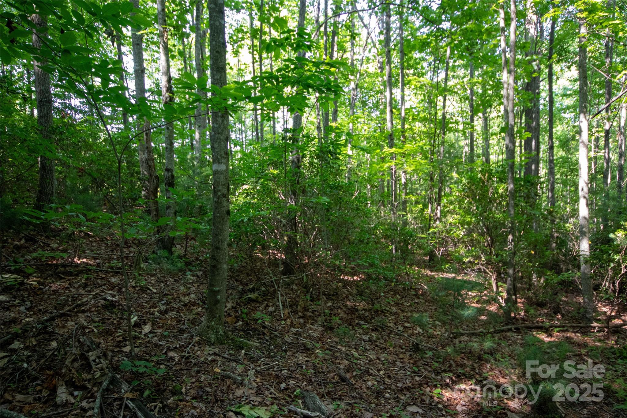 Lot# 130 Terra Vista Drive Property Photo 15