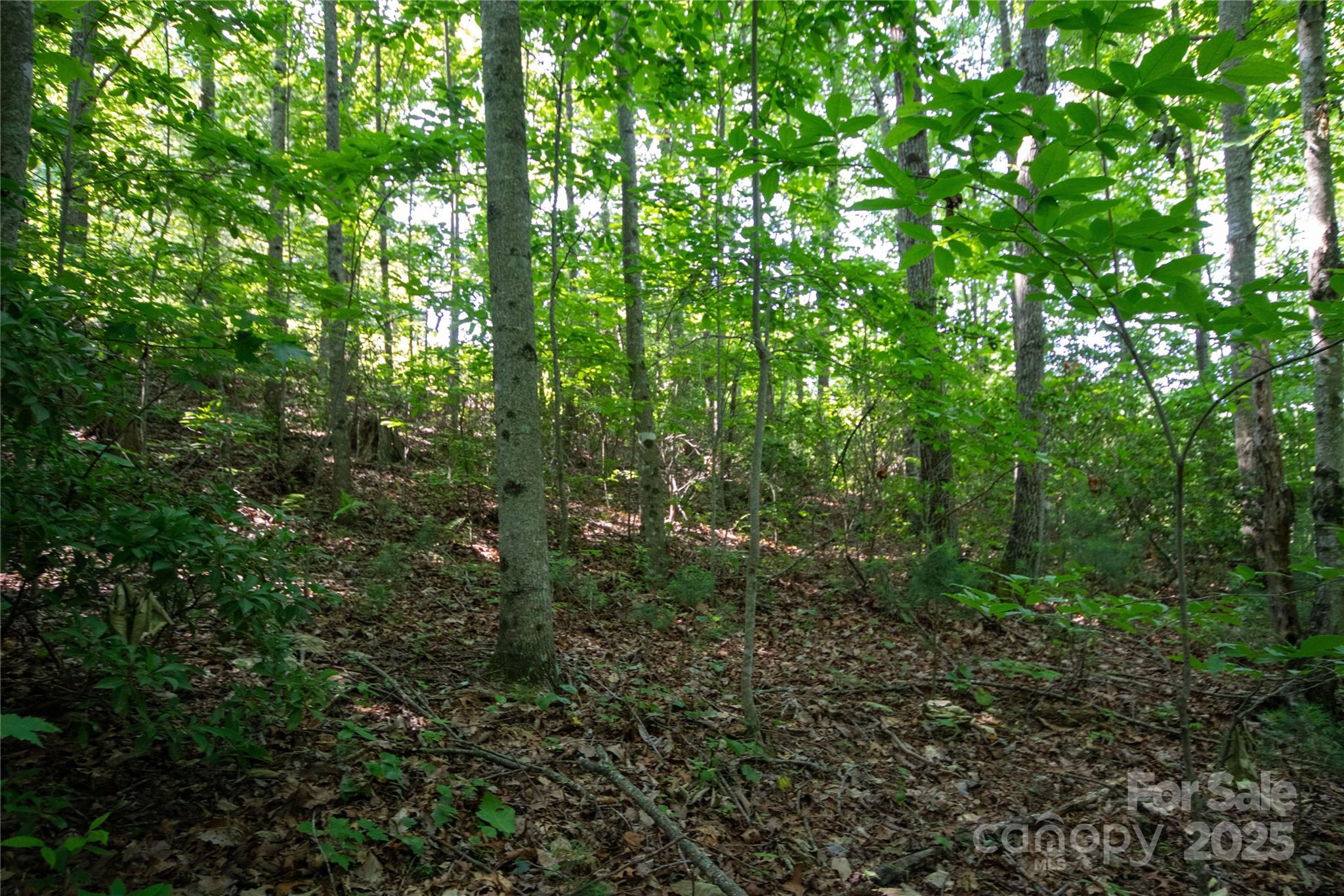 Lot# 130 Terra Vista Drive Property Photo 16