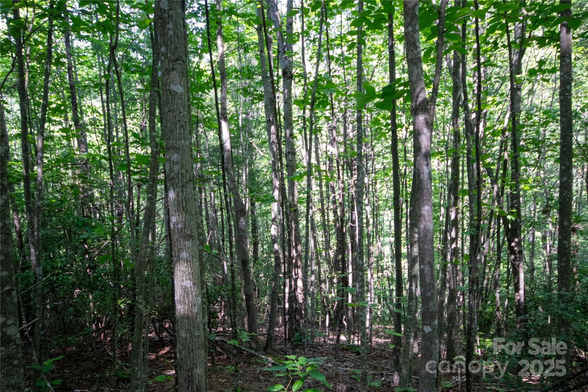 Lot# 130 Terra Vista Drive Property Photo 17