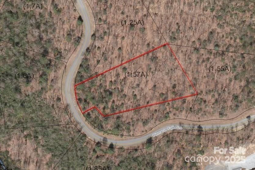 0 Pinnacle Falls Lane 22 Property Photo 1