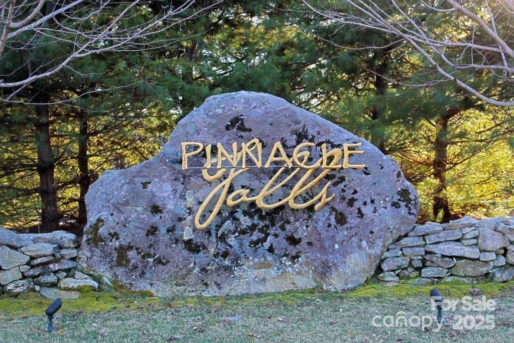 0 Pinnacle Falls Lane 22 Property Photo 2
