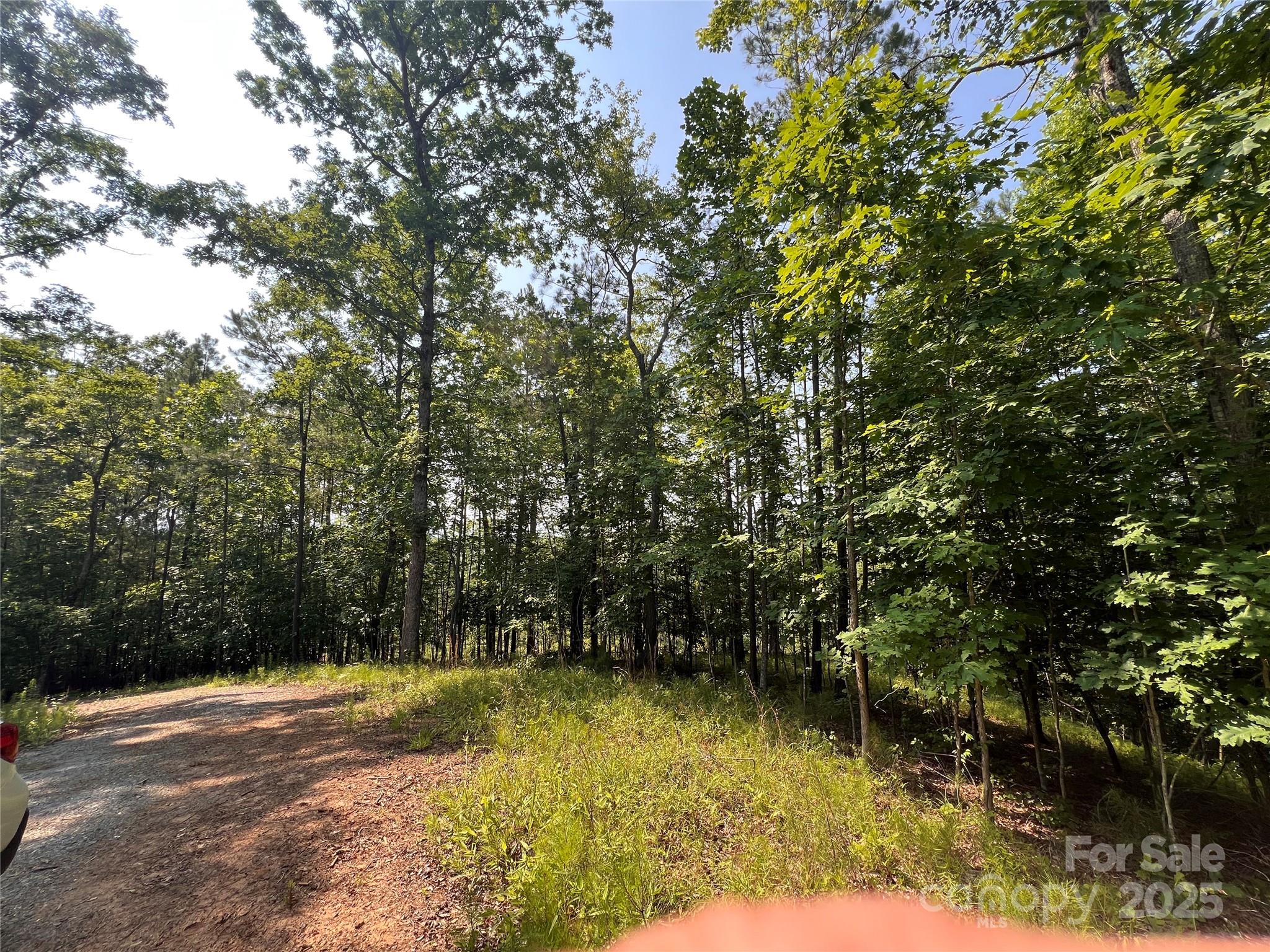 1015 Cross Ridge Drive Property Photo 3