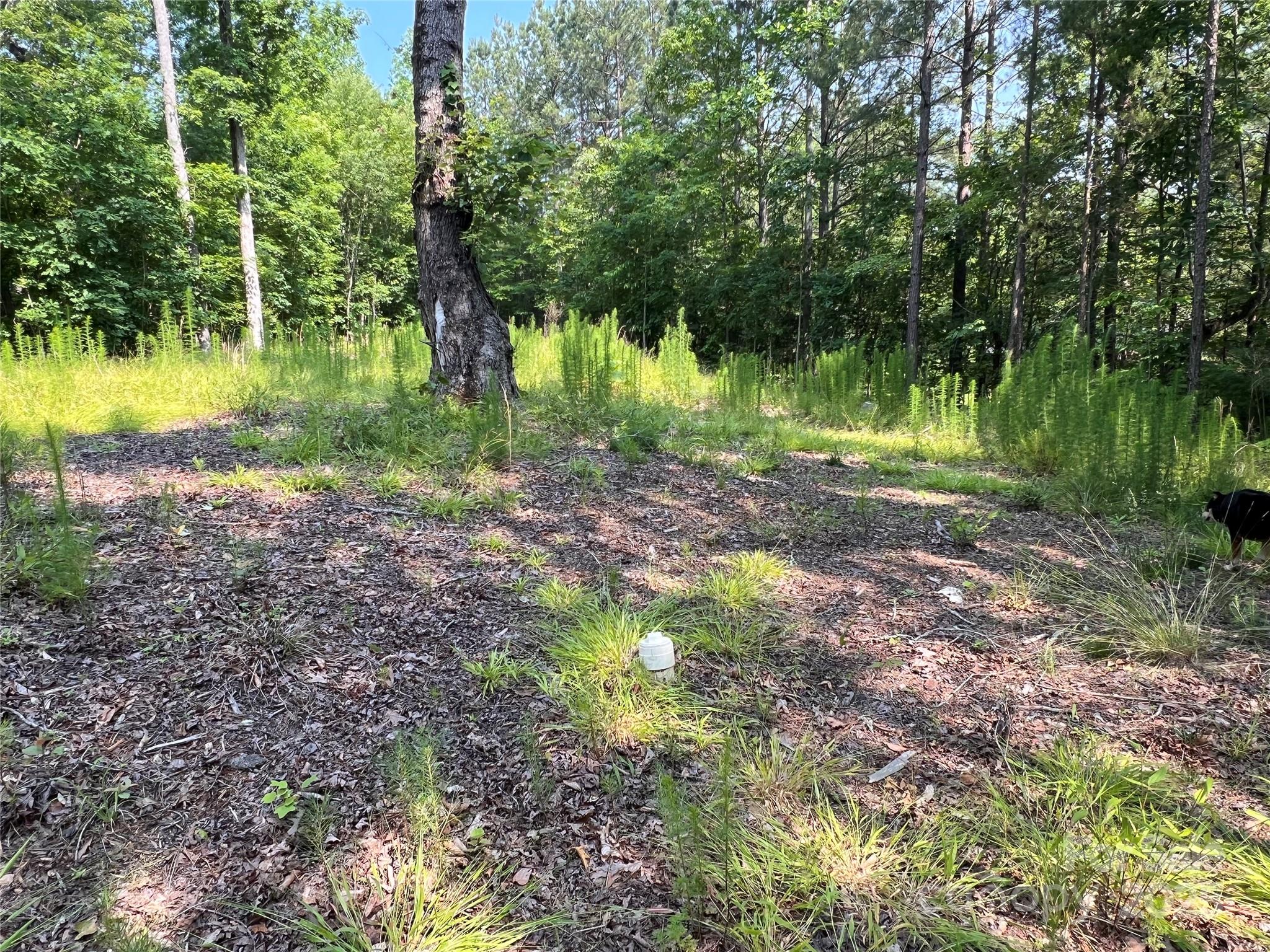 1015 Cross Ridge Drive Property Photo 4