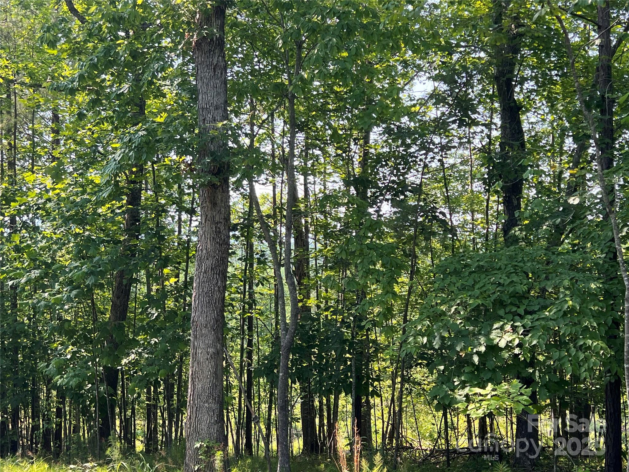 1015 Cross Ridge Drive Property Photo 5