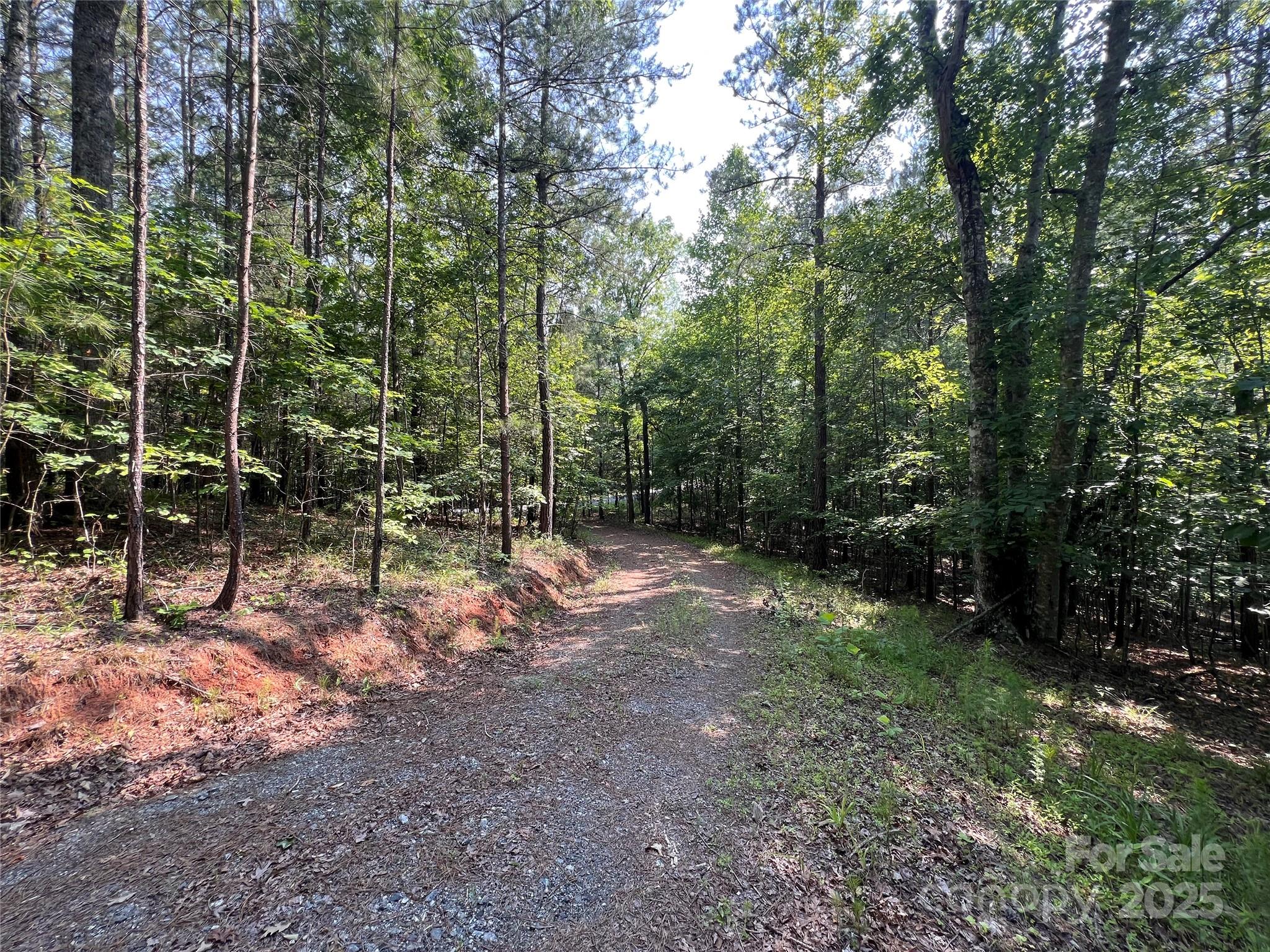 1015 Cross Ridge Drive Property Photo 6